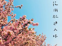 -海棠花溪(元大都城垣遗址公园)