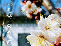 -无锡梅园公园