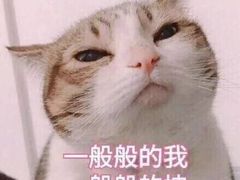 -佳雯宠物医院(四明中路分院)