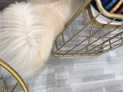 -肆兮眼镜·蔡司·徕卡战略合作店(大坪店)