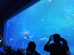 -南昌融创海世界