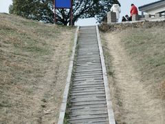 -龙坞茶村