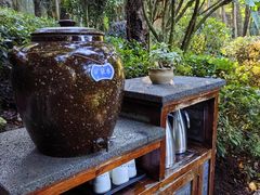 -腾冲洞山温泉村