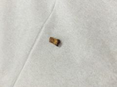 -金太粽(上海弄堂第一粽店)