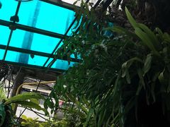 -自然餐厅(Phuket)