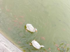 -迎泽公园
