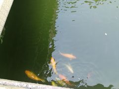 -豫园湖心亭茶楼