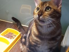 -乐宠宠物店(世纪金源店)