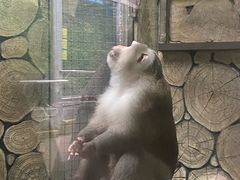 -黔灵山公园