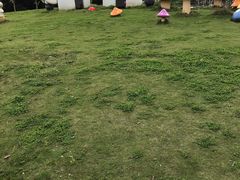 -上海都市菜园