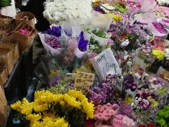 -曲阳花鸟市场(曲阳路店)