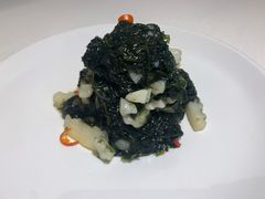 山药头水紫菜-九十九顶毡房(阜石路店)