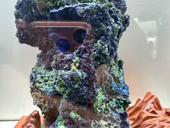 -甘肃地质博物馆