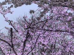 -虹口龙之梦购物中心·停车场