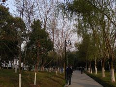-汉江湾体育公园