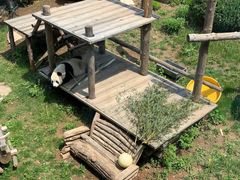 -大连森林动物园