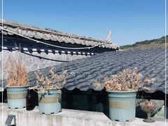 -YLK云南小粒咖啡·云里咖(二号店)