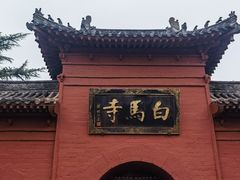 -洛阳白马寺