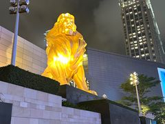 -影汇之星8字形摩天轮