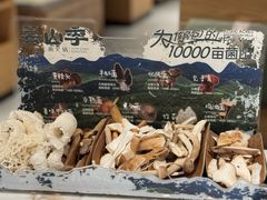 -芸山季·云南山珍菌火锅(南翔印象城MEGA店)