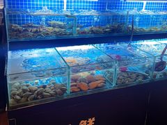 -佰园全日西餐厅-厦门佰翔软件园酒店