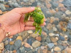 -银沙滩浴场