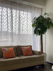 -联合丽格·张菡丽格医疗美容