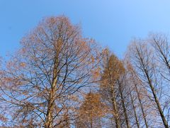 -山王坪喀斯特国家生态公园