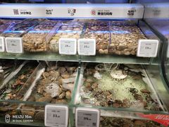 -超级物种·波龙工坊(国贸店)
