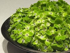 -新荣记(新源南路店)