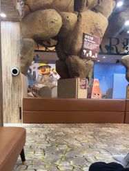 -卡通尼·Safari非洲探索乐园·生日会(金桥国际商业广场店)