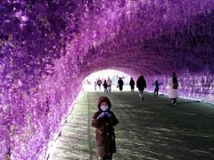 -绿野森林乐园冰雪季