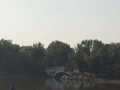 -大兴滨河森林公园