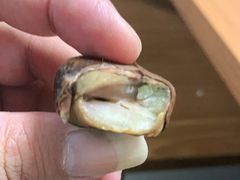 -粒上皇(五一广场店)