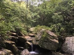 -木兰云雾山