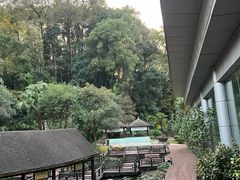 -明月山天沐温泉度假村