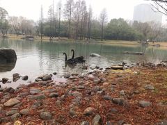 -苏州金鸡湖大酒店