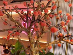 -老板恋上鱼(恒隆广场店)