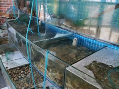 -蟹谢蒸鲜自助餐厅