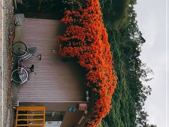 -鲤鱼塘农家山庄