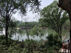 -东方巨龟苑景区