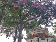 -海心沙亚运公园
