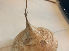 -泓0871臻选云南菜·味庄