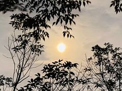 -杭州半山国家森林公园