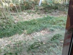 -苏州阳澄湖澜廷酒店-有景阁中餐厅