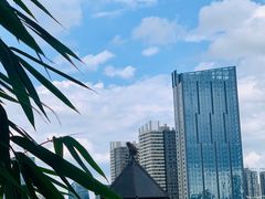-昆明动物园