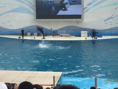 -北戴河圣蓝海洋公园