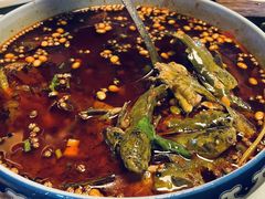 -青城甲(青城山店)