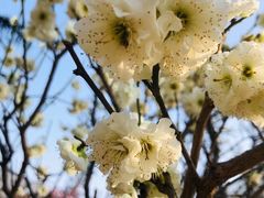 -河南省黄河迎宾馆