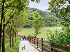 -黄埔油麻山森林公园